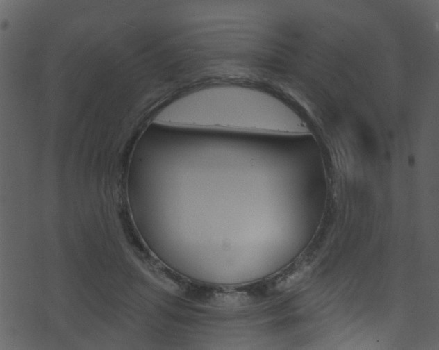 X0000074260455200608250904