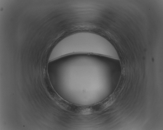 X0000074260456200608250904