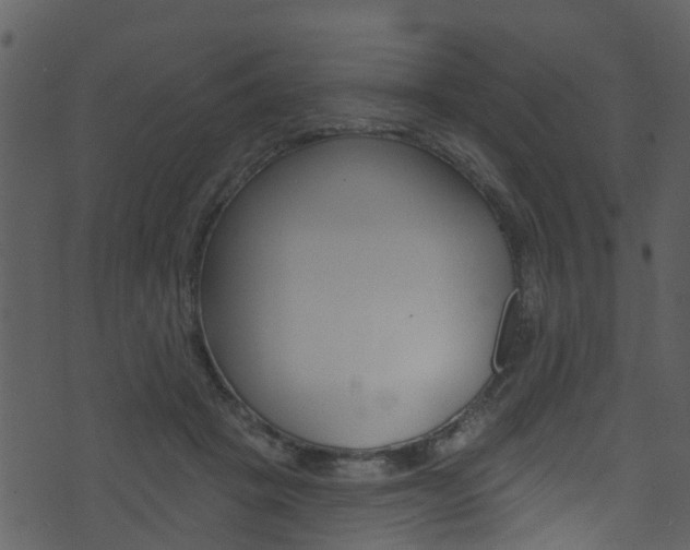 X0000074260457200608250904