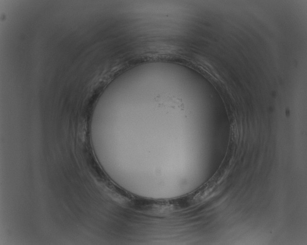 X0000074260458200608250904