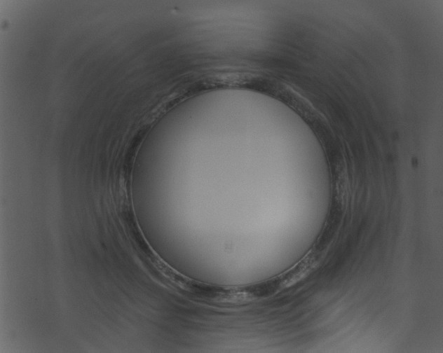 X0000074260459200608250904