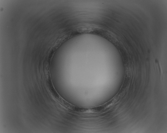 X0000074260460200608250904