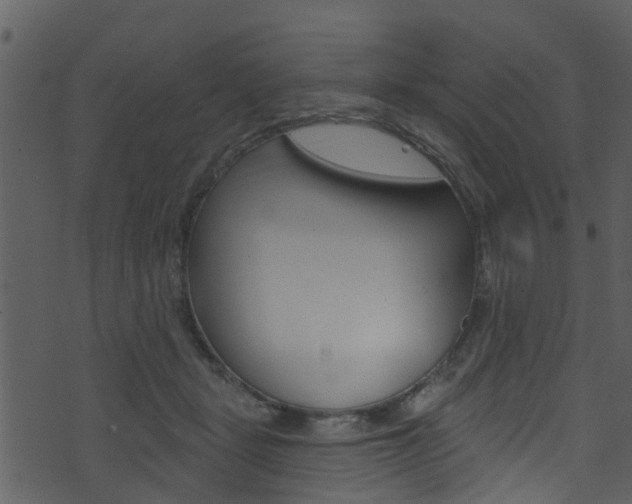 X0000074260461200608250904