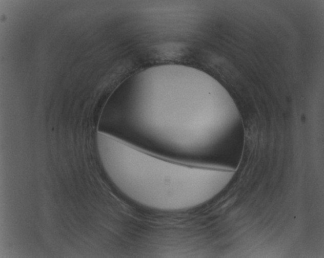 X0000074260462200608250904