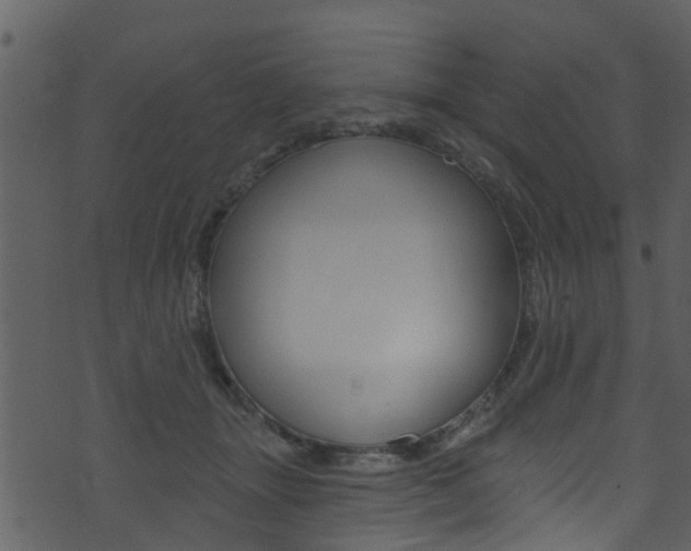 X0000074260463200608250904