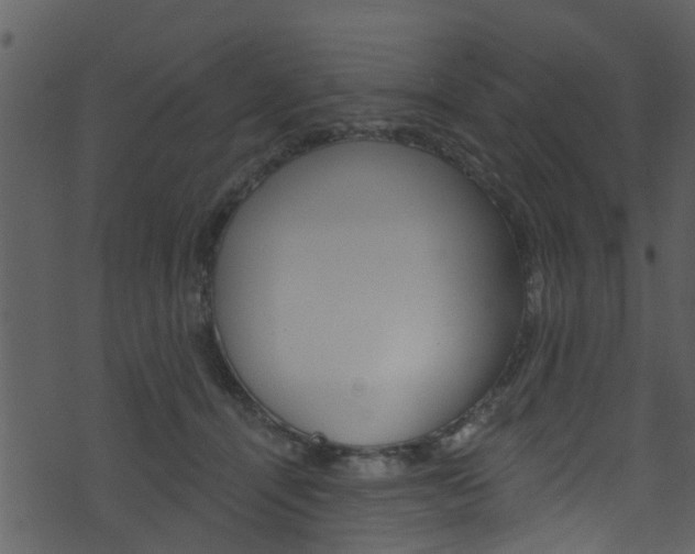 X0000074260464200608250904