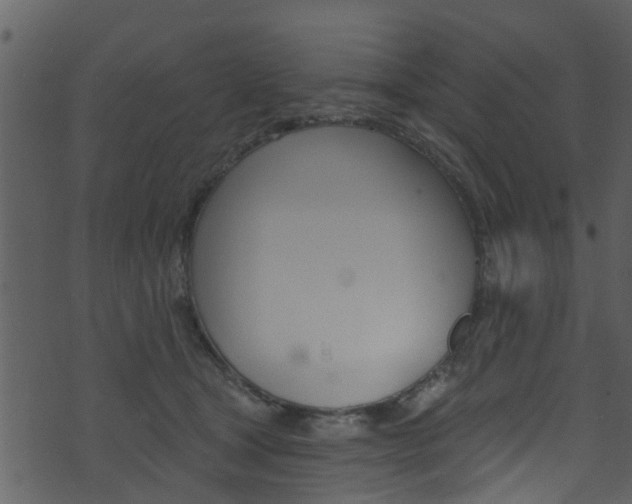 X0000074260465200608250904