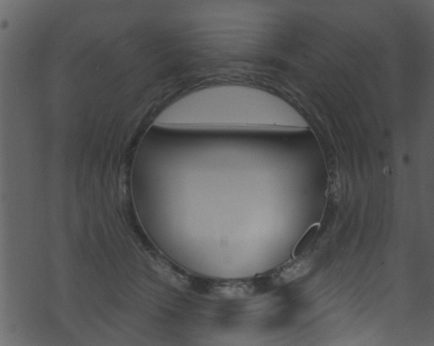 X0000074260466200608250904