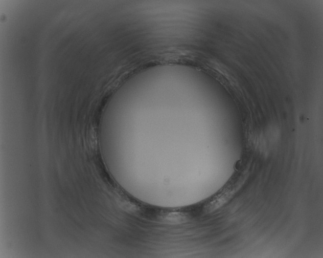 X0000074260467200608250904