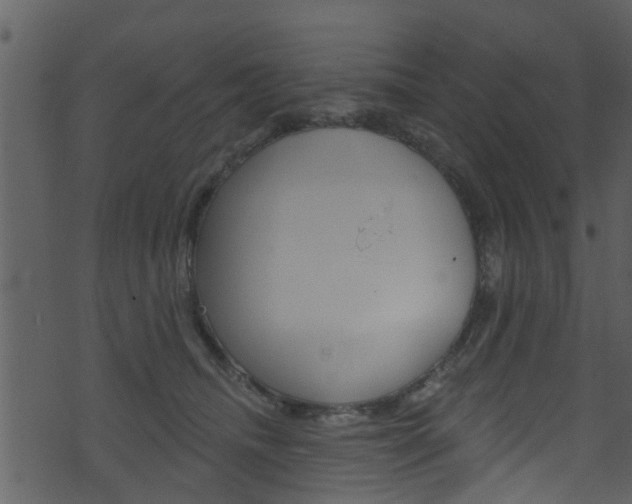 X0000074260468200608250904