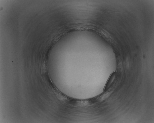 X0000074260469200608250904