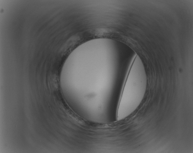 X0000074260470200608250904