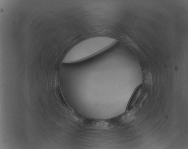 X0000074260471200608250904