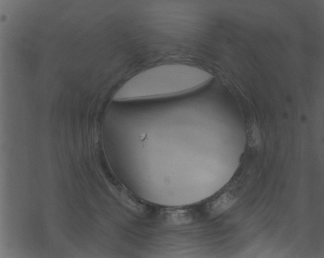 X0000074260472200608250904