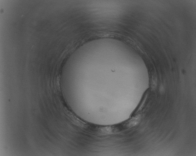 X0000074260473200608250904