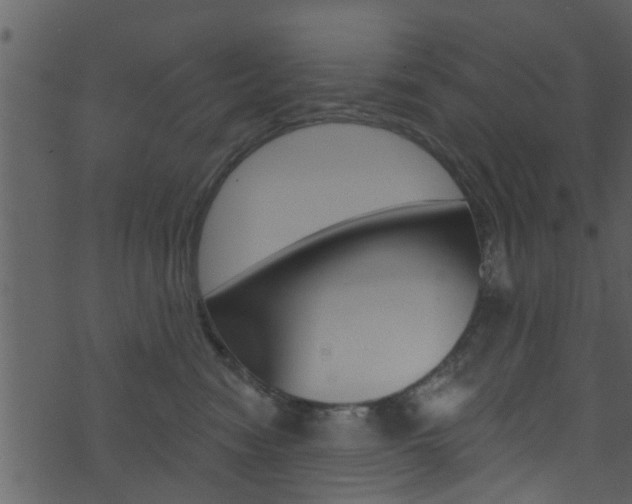 X0000074260474200608250904