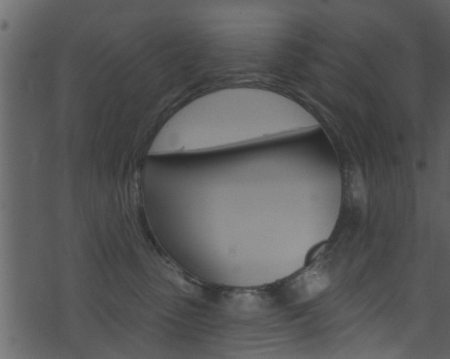 X0000074260475200608250904