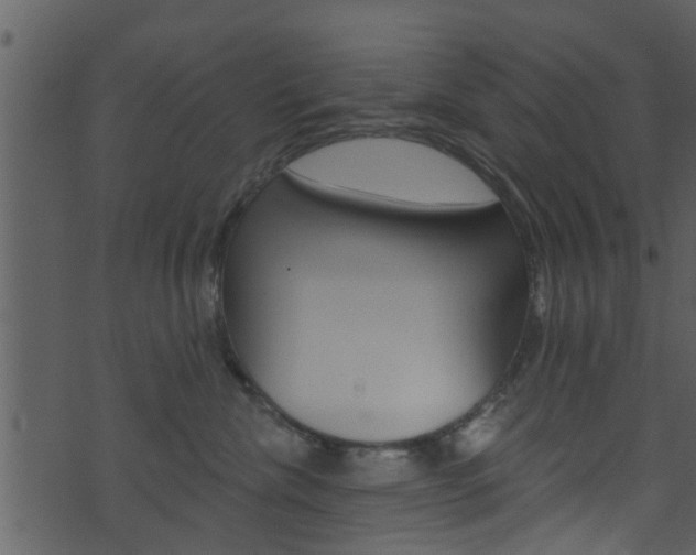 X0000074260476200608250905