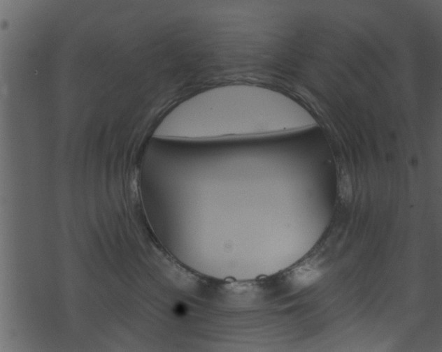 X0000074260477200608250905