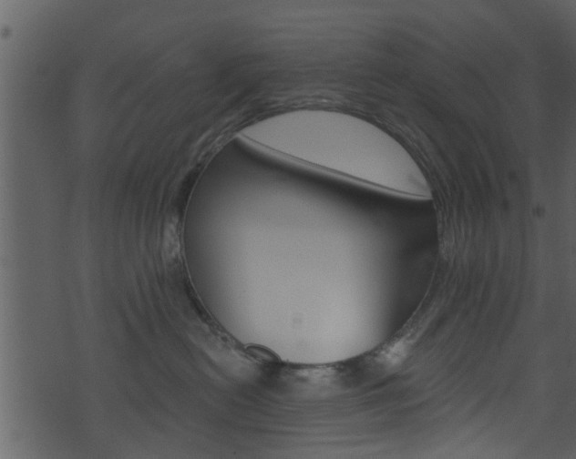 X0000074260478200608250905