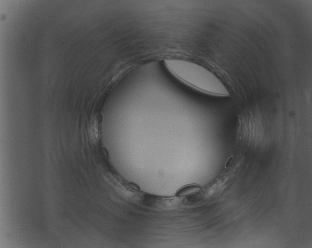 X0000074260479200608250905