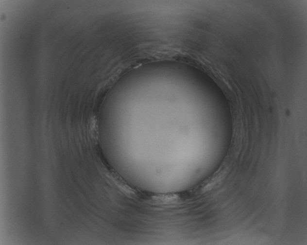 X0000074260480200608250905