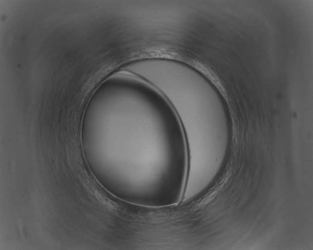 X0000074260481200608250904