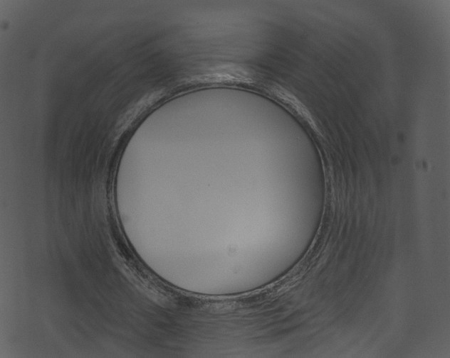 X0000074260482200608250904