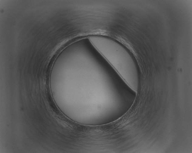 X0000074260483200608250904