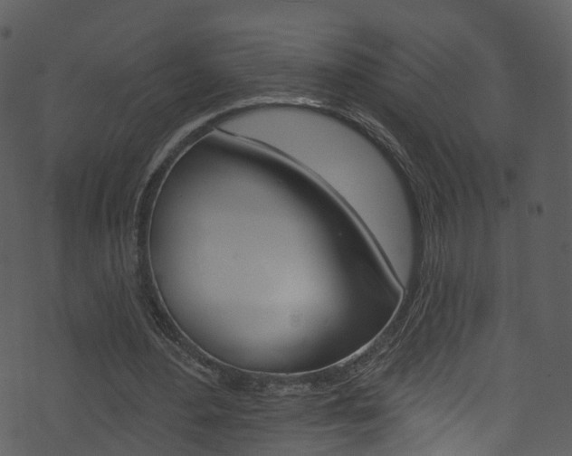 X0000074260484200608250904