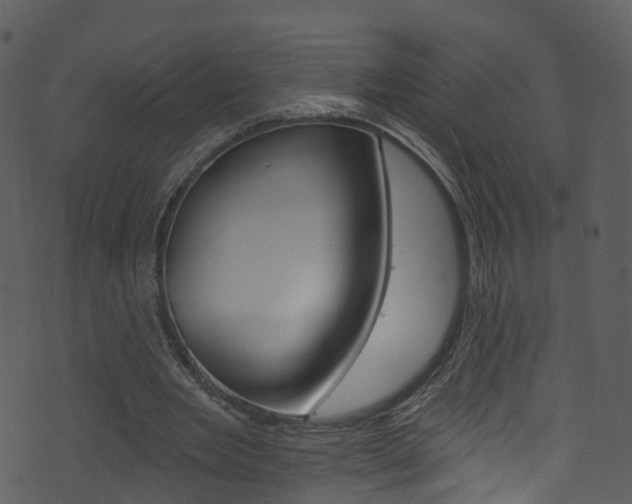 X0000074260485200608250904