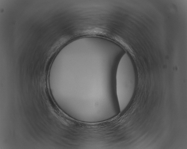 X0000074260486200608250904