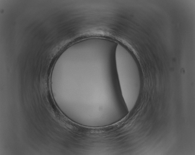 X0000074260487200608250904