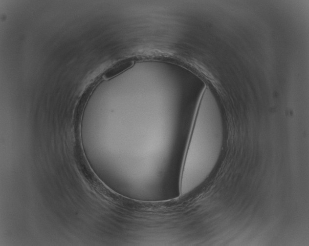 X0000074260488200608250904