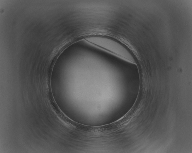 X0000074260489200608250904