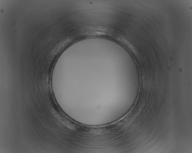 X0000074260490200608250904