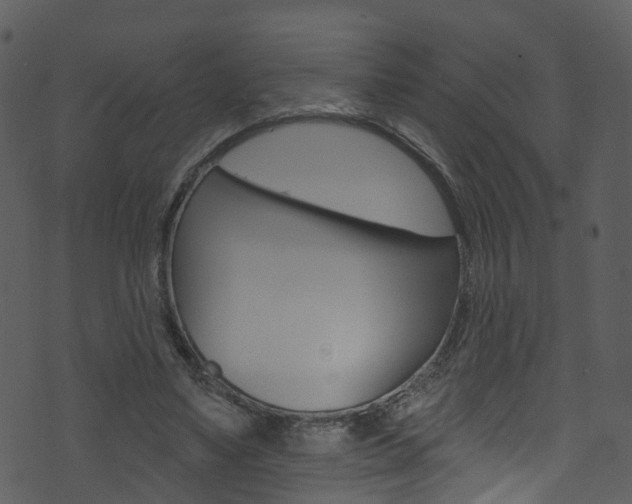 X0000074260491200608250904