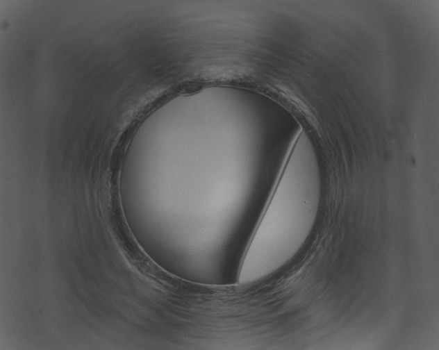 X0000074260492200608250904