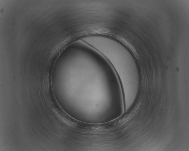 X0000074260493200608250904