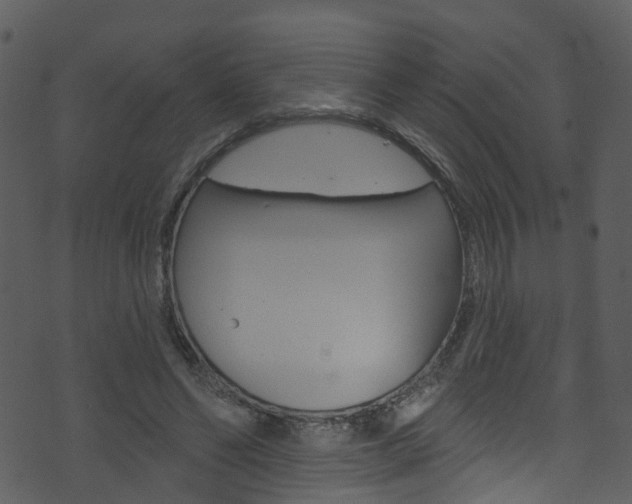 X0000074260494200608250904