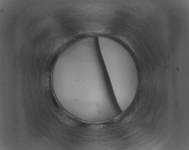 X0000074260495200608250904