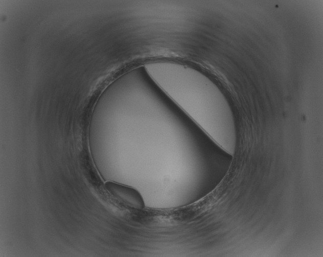 X0000074260496200608250904