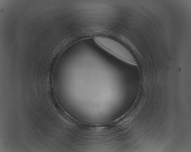 X0000074260497200608250904