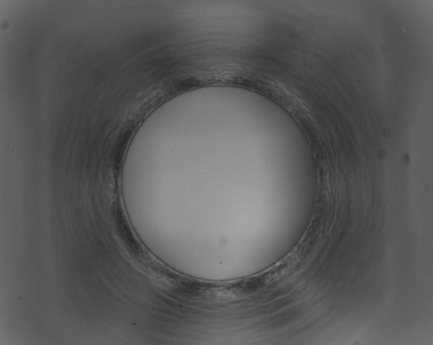 X0000074260498200608250904