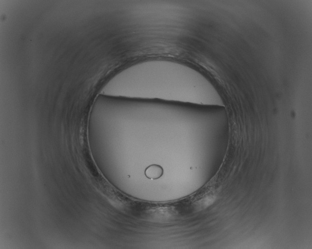 X0000074260499200608250903