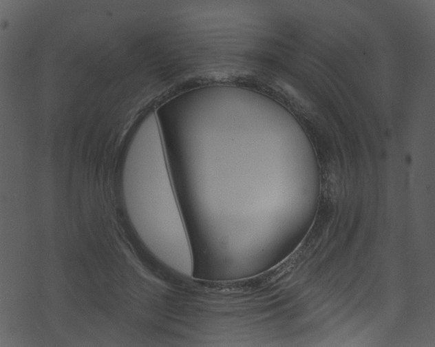 X0000074260500200608250903