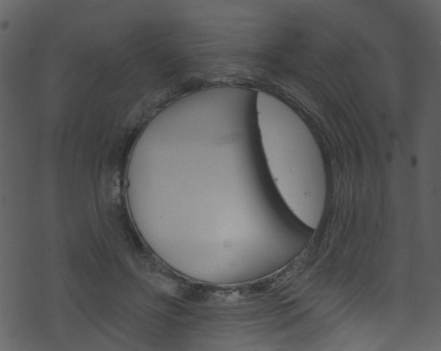 X0000074260502200608250903