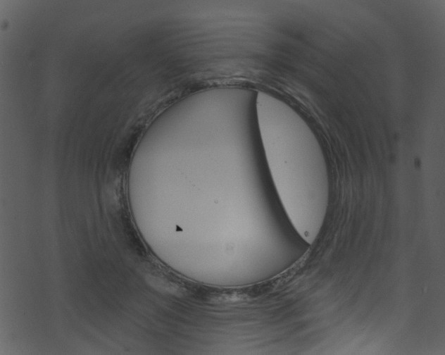 X0000074260503200608250903