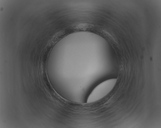 X0000074260504200608250903