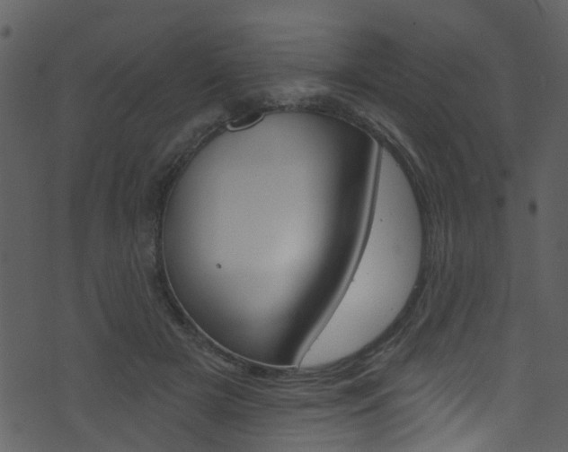 X0000074260505200608250903